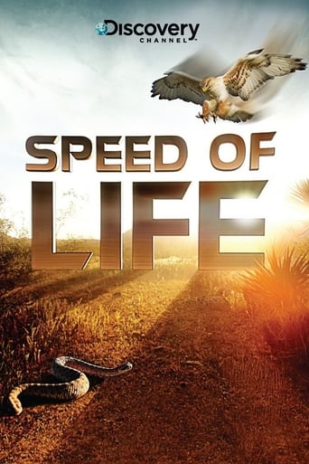 دانلود سریال Speed of Life 2010 دوبله فارسی بدون سانسور